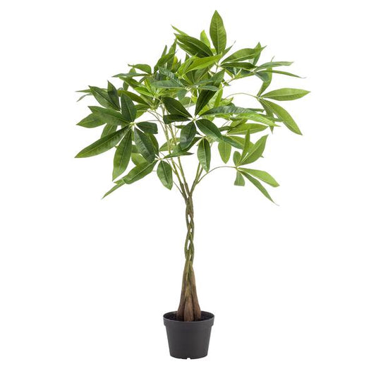 Geldbaum Pachira Aquatica – Künstliche Zimmerpflanze – ↕90 cm – Realistischer Doppelstamm & große glänzende Blätter – Pflegefrei