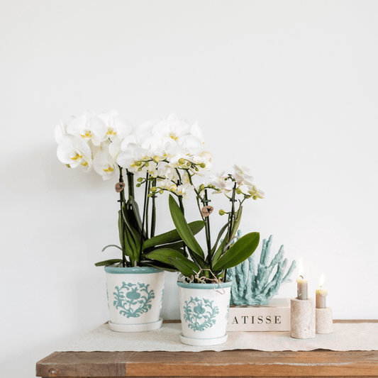 Malaga Topf - Türkis - Ø12cm 