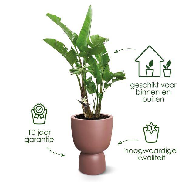 Topf Pure Coupe Rosabraun - D41 x H58