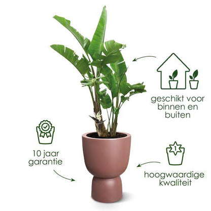 Topf Pure Coupe Rosabraun - D41 x H58