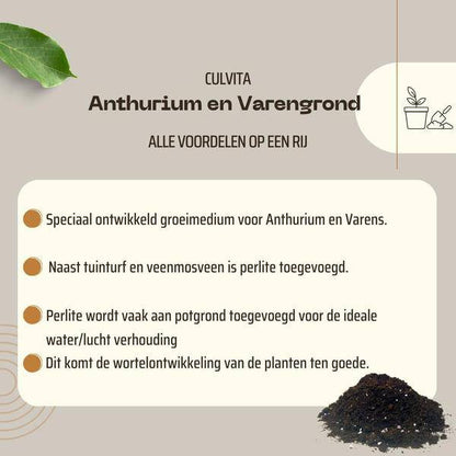 Blumenerde für Anthurium und Farne - Anthurium und Fernerde - 5 Liter