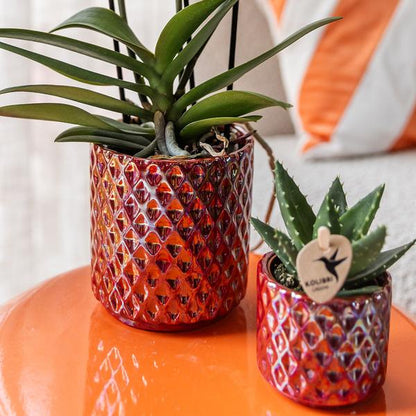 Diamant Perle Dekotopf - Rot - Ø9cm 