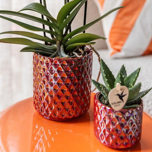 Diamant Perle Dekotopf - Rot - Ø9cm 