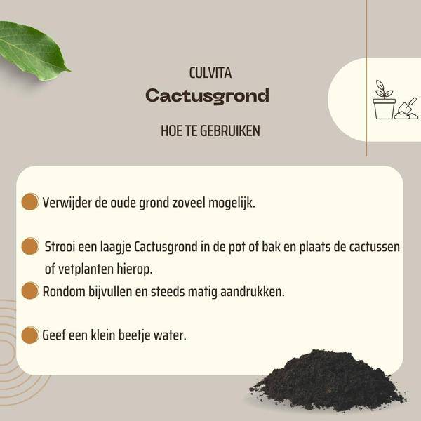 Kakteenerde 5 Liter - Blumenerde für Kakteen und Sukkelenten