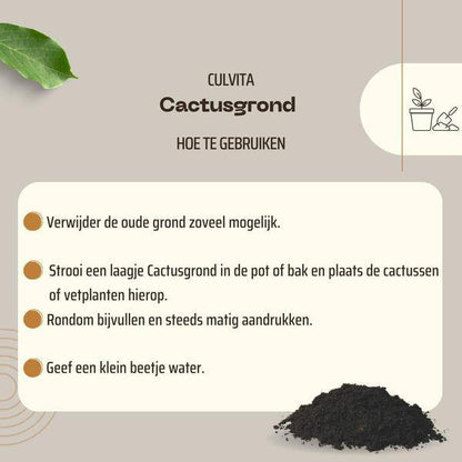 Kakteenerde 5 Liter - Blumenerde für Kakteen und Sukkelenten