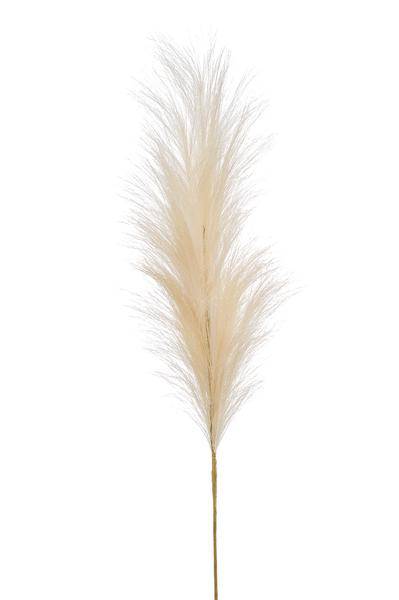 Künstliche Blumen - Blumenstrauß - Solo - Creme - Pampas-Federn - 115cm - 6 Stück