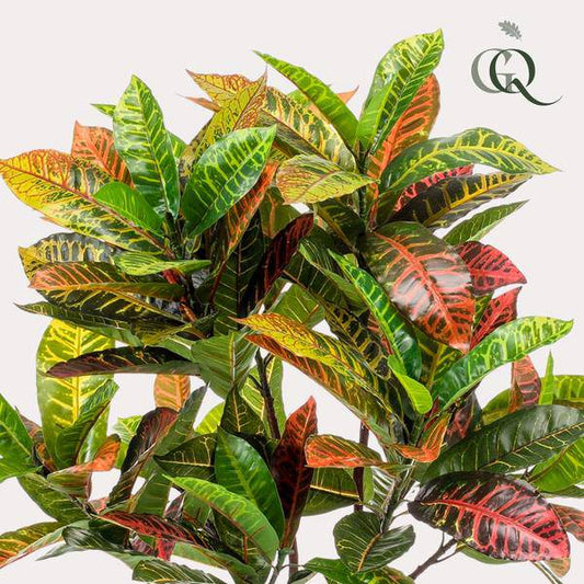 Kunstpflanze - Croton codiaeum - Wunderstrauch - 120 cm