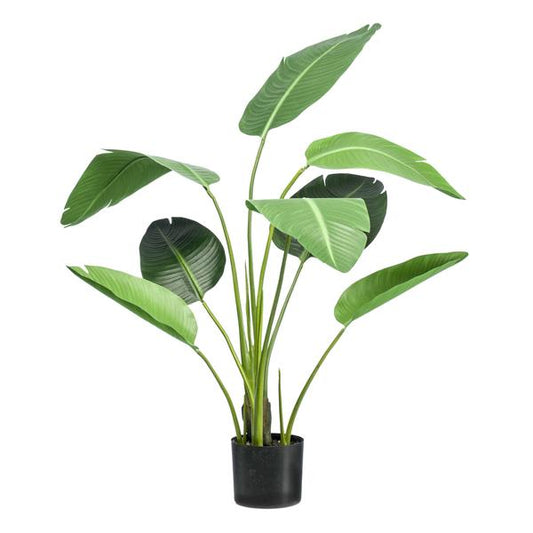 Strelitzia nicolai Paradiesvogelblume – Kunstpflanze – Zimmerpflanze – ↕120cm – Realistische Seidenblätter – Pflegeleicht & Dekorativ