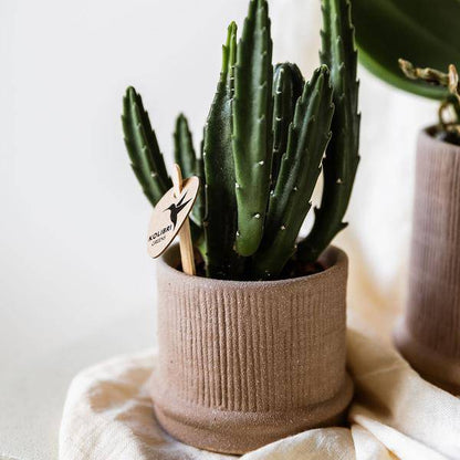 Bali Dekotopf - Sand - Ø6cm 