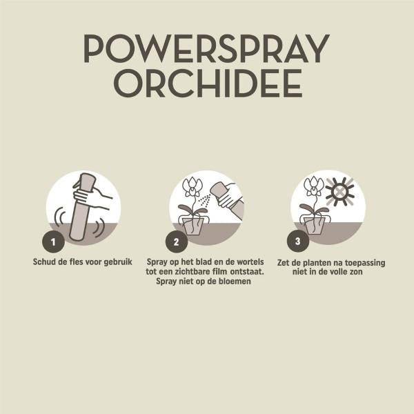Pokon Powerspray Orchidee – Blattglanz-Spray – 300ml – Für gesunde, glänzende Orchideenblätter – Einfach anzuwenden – Für mehr Vitalität & Schutz 