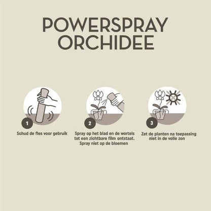 Pokon Powerspray Orchidee – Blattglanz-Spray – 300ml – Für gesunde, glänzende Orchideenblätter – Einfach anzuwenden – Für mehr Vitalität & Schutz 