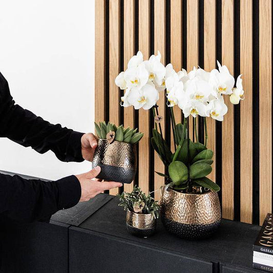 Elite Topf Kupfer - Ø6cm 