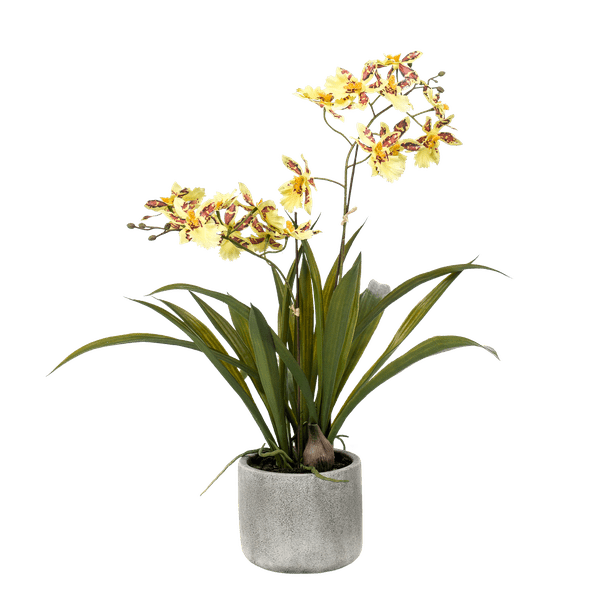 Kunstpflanze - Orchidee - Gelb - ↨45cm