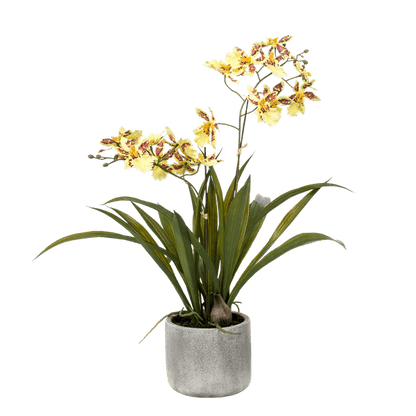 Kunstpflanze - Orchidee - Gelb - ↨45cm