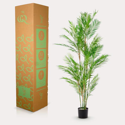 Kunstpflanze - Chamaedorea Elegans - Bergpalme - 180 cm 