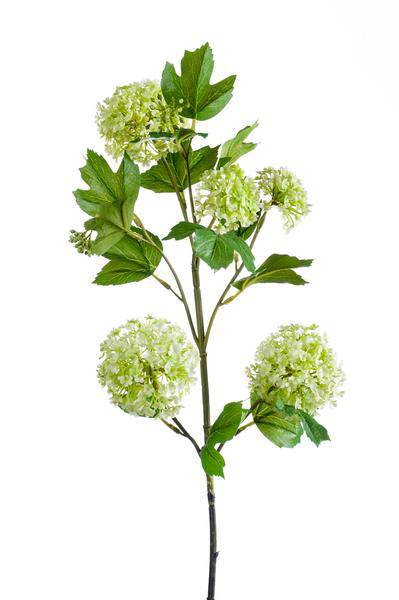 Künstliche Blumen - Solo - Creme - Viburnum Opulus Zweige - 75cm - 4 Stück 