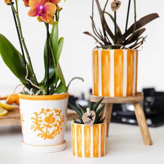 Dekotopf Keramik – Blumentopf Bemalter Streifen Orange – Ø9cm – Modernes Pflanzgefäß für Zimmerpflanzen & Deko 