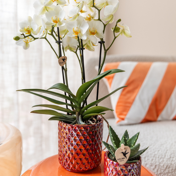 Diamant Perle Dekotopf - Rot - Ø9cm 