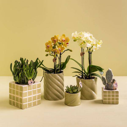 Candy Dekotopf - Grün - Ø6cm 