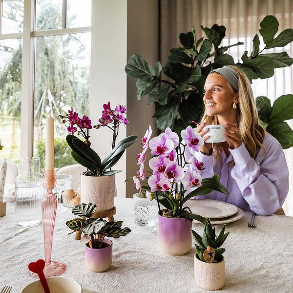 Gradience Übertopf - Rosa - Ø9cm 