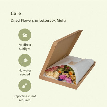 Trockenblumen im Briefkasten - Multi - Oasis of Life