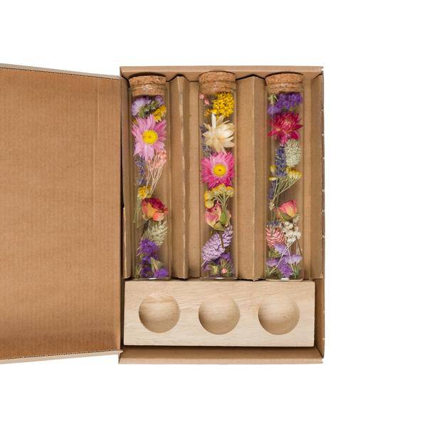 Getrocknete Blumen - Message in a Box Groß - Multi - 8 Stück - ↕15cm