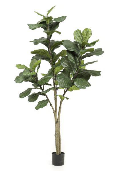 Kunstpflanze - Ficus Lyrata - Tabakpflanze - 180 cm 
