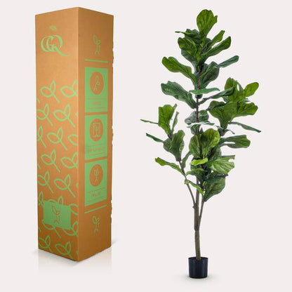 Kunstpflanze - Ficus Lyrata - Tabakpflanze - 150cm - Oasis of Life