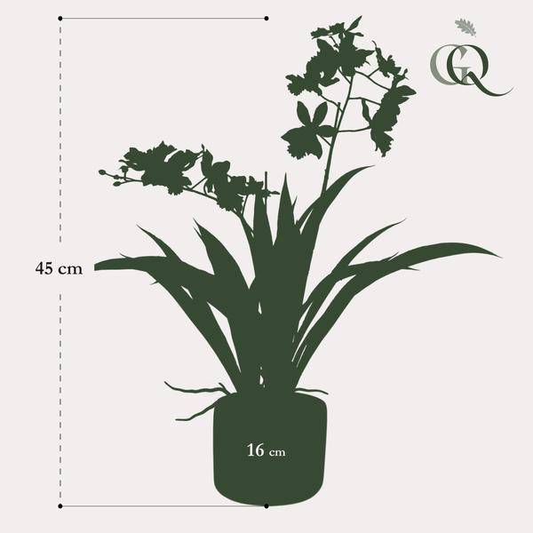 Künstliche Pflanze - Orchidee - Weiß - ↨45cm