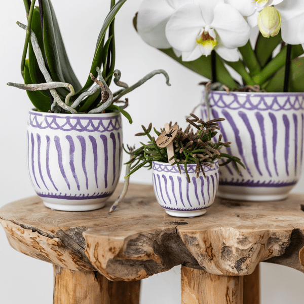 Topf Granada - Flieder - Ø6cm 