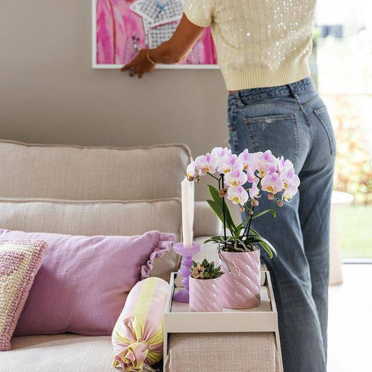 Candy Dekotopf - Hoch - Rosa - Ø6cm 