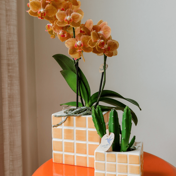 Mosa Ziertopf - Orange - Ø6cm 