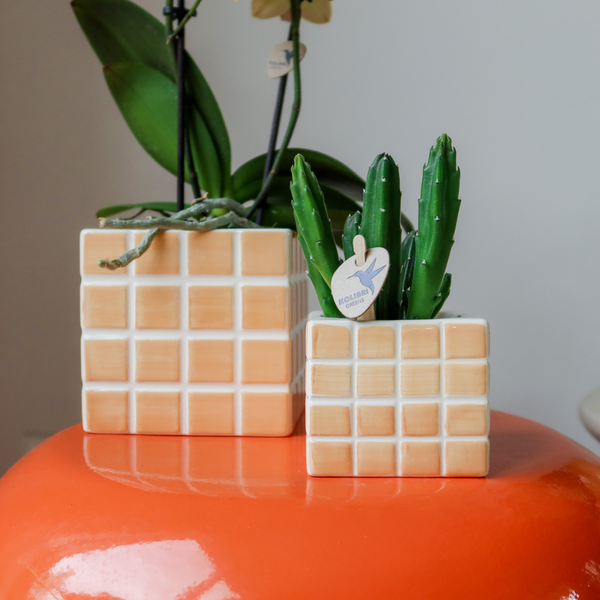 Mosa Ziertopf - Orange - Ø6cm 