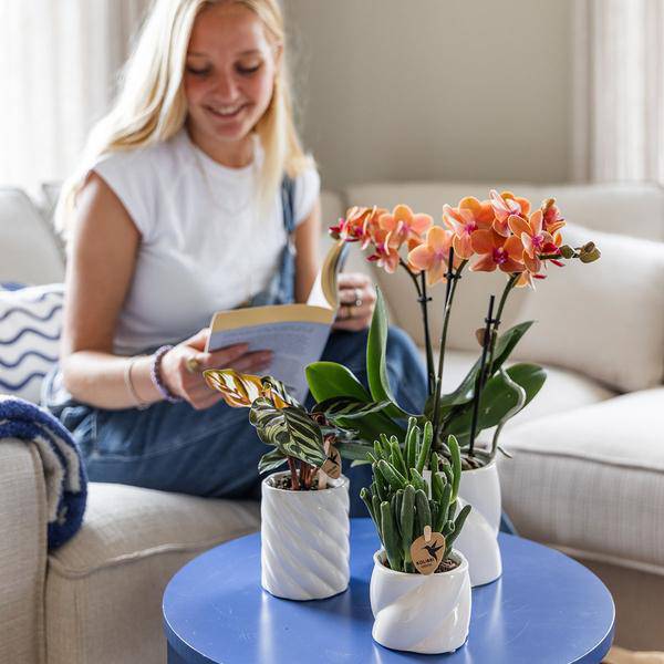 Candy Blumentopf Weiß Ø9cm – Dekorativer Keramiktopf in moderner runder Form – Pflanzentopf für Orchideen, Sukkulenten & Zimmerpflanzen – Stilvolle Blumendeko für Wohnzimmer, Küche & Büro 