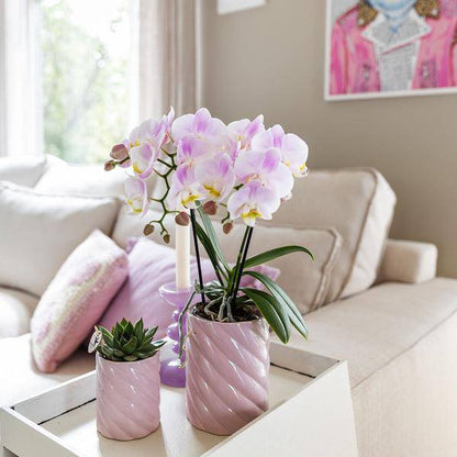 Candy Dekotopf - Hoch - Rosa - Ø6cm 