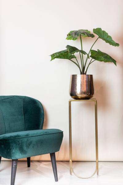 Kunstpflanze - Alocasia - 70 cm 