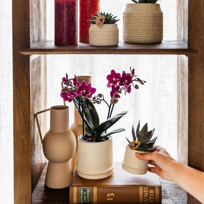 Bali Blumentopf Off White Ø9cm – Dekorativer Keramiktopf mit Rillenstruktur – Moderner Pflanzentopf im minimalistischen Design – Stilvolle Blumendeko für Wohnzimmer, Küche & Büro 