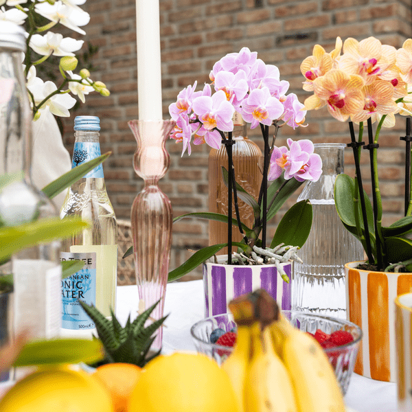 Dekotopf Keramik – Blumentopf Bemalter Streifen Orange – Ø9cm – Modernes Pflanzgefäß für Zimmerpflanzen & Deko 