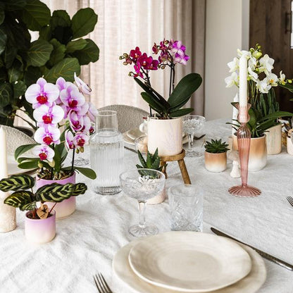 Gradience Übertopf - Rosa - Ø9cm 