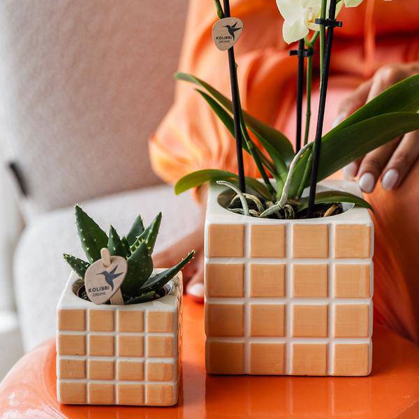 Mosa Ziertopf - Orange - Ø9cm 