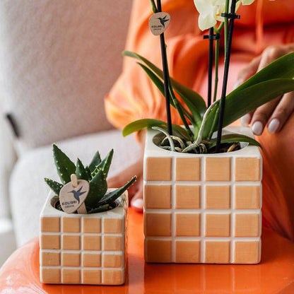 Mosa Ziertopf - Orange - Ø9cm 