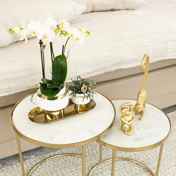 Le Chic Blumentopf - Weißer dekorativer Keramiktopf mit goldenen Details - Ø9cm - Oasis of Life