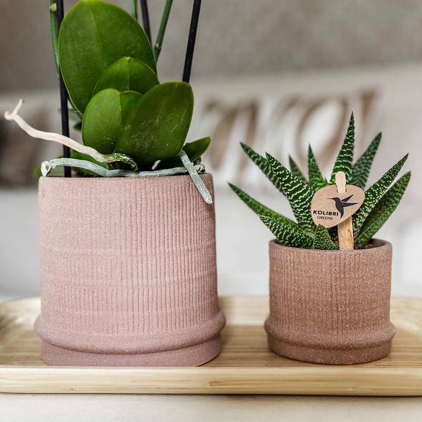 Bali Dekotopf - Sand - Ø6cm 