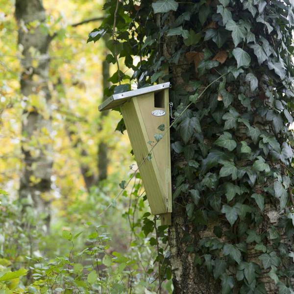 Vogelhäuschen - Nistkasten - Gartentiere - Oasis of Life
