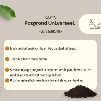 Universal Blumenerde - inkl. 2 Monate Pflanzennahrung - Universal Blumenerde für Pflanzen im Innen- und Außenbereich - 40 Liter