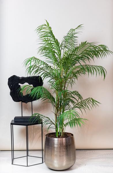 Kunstpflanze - Chamaedorea Elegans - Bergpalme - 120 cm 