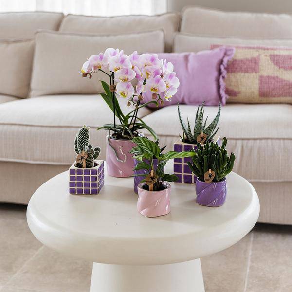 Candy Dekotopf Rosa – Ø6cm – Runder Keramik Blumentopf – Moderner Mini Blumentopf für Orchideen & kleine Zimmerpflanzen – Dekoration für Wohnzimmer, Küche & Büro 