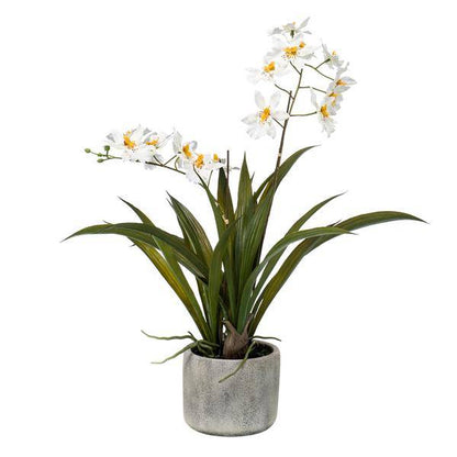 Künstliche Pflanze - Orchidee - Weiß - ↨45cm