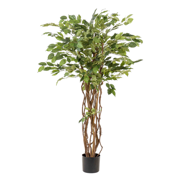 Ficus liana - Stiefmütterchenpflanze - Kunstpflanze - Zimmerpflanze - ↕140cm