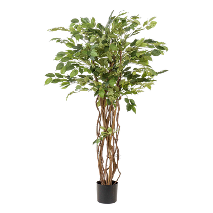 Ficus liana - Stiefmütterchenpflanze - Kunstpflanze - Zimmerpflanze - ↕140cm